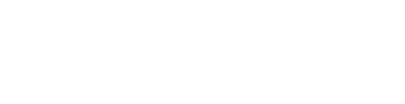 Universidad del Desarrollo
